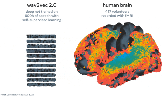 脳活動から音声を解読できるAIモデル